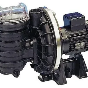 STA-RITE Schwimmbad Pumpe (5P2R) Expressversand