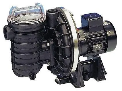STA-RITE Schwimmbad Pumpe (5P2R) Expressversand