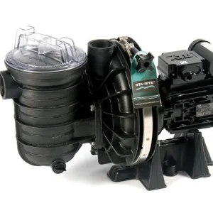Sta-Rite 5P6R Kunststoffpumpe Schwimmbad Pumpe Angebot