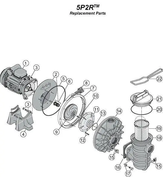 Sta-Rite Dichtungssatz 5P2R + PP 1000 bis Baujahr 2008 Online Kaufen