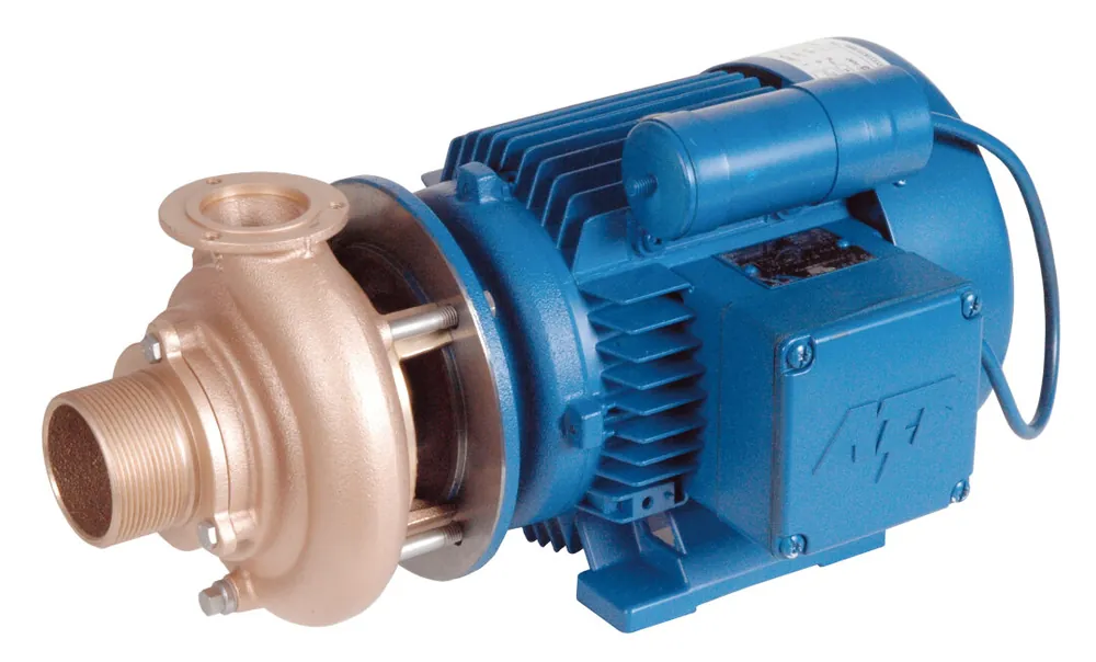 Solange Der Vorrat Reicht Lahme RG-Pumpe 1.1 kW 230 V WS mit Saugseite 2" AG