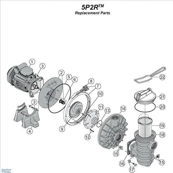 Versand Am Gleichen Tag Sta-Rite O-Ring Pumpenplatte 5P2R + 5P4/6RPumpe R39006000# früher U9-228A