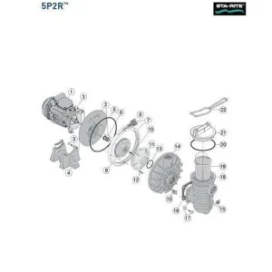 Sta-Rite Umkehrleitrad O-Ring 5P2R-Serie Echt