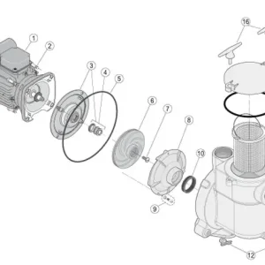 Sta-Rite Umkehrleitrad-Ring für Bronzepumpen B + C Direktkauf
