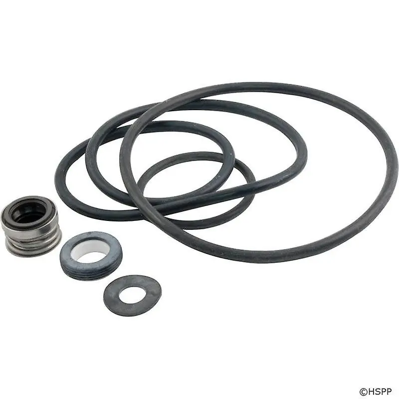 Pentair Dichtungssatz MAX-E-PRO / SW5P6R Meistverkauft