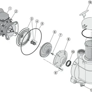 Wochenendangebot Sta-Rite Schraube für Motorbefestigung Serie 5BR