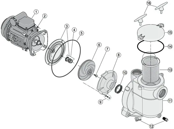 Sta-Rite Laufrad für Pumpe 5BRF-3 Wochenendangebot