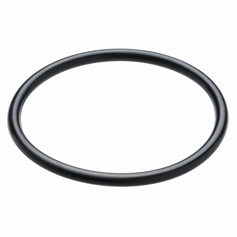 BAYROL Ersatzteil O-Ring für Filter Expressversand