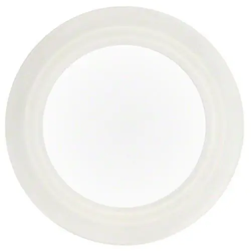 Waterway 711-4050 - 1,5-Zoll Flachdichtung / Dichtring Echt