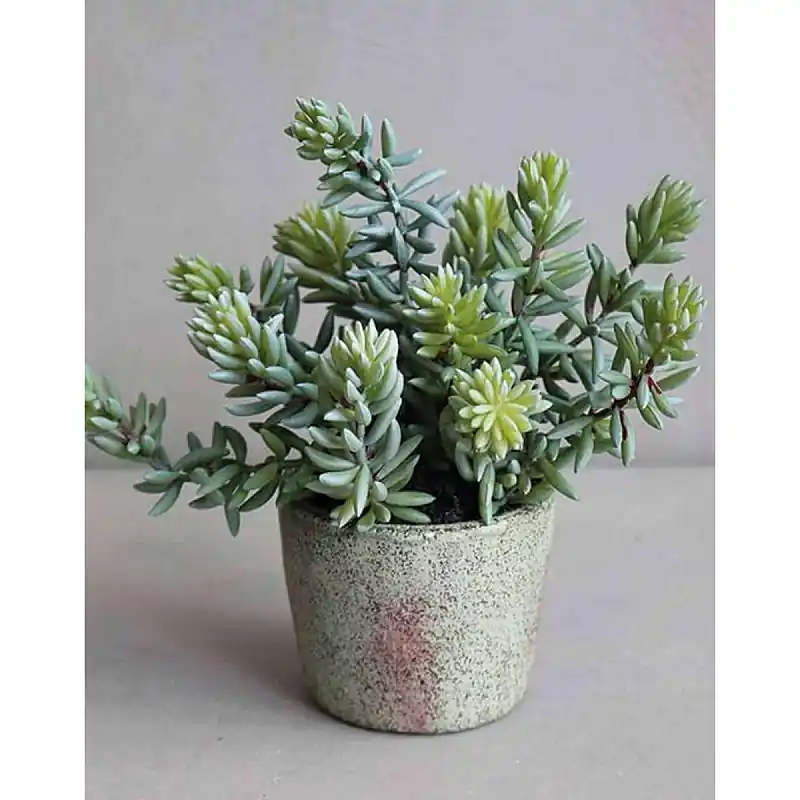 Jetzt Bestellen Künstliche Sukkulente im Dekotopf, 19 cm, grün