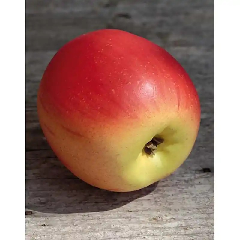 Must-Have Künstlicher Apfel, 8 cm, rot-gelb