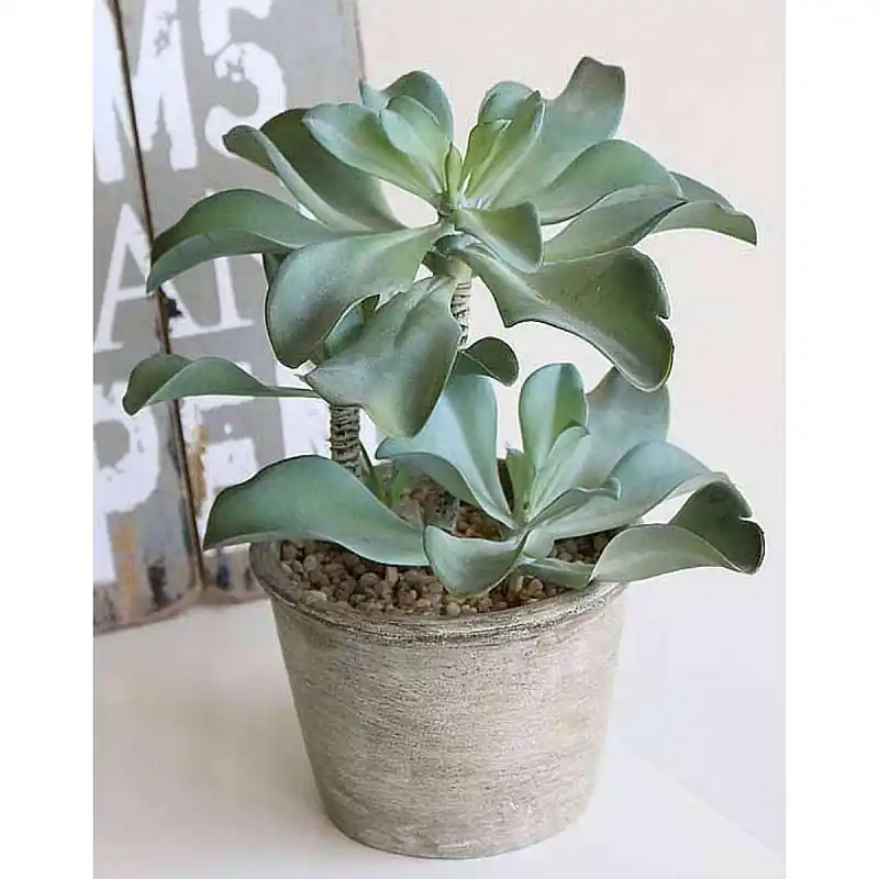 Künstliche Sukkulente im Dekotopf, 25 cm, grün Kracherpreis