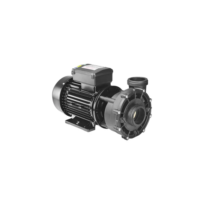 Direktkauf LX WP300-II zweistufige 2-stufige Pumpe Whirlpool Massagepumpe