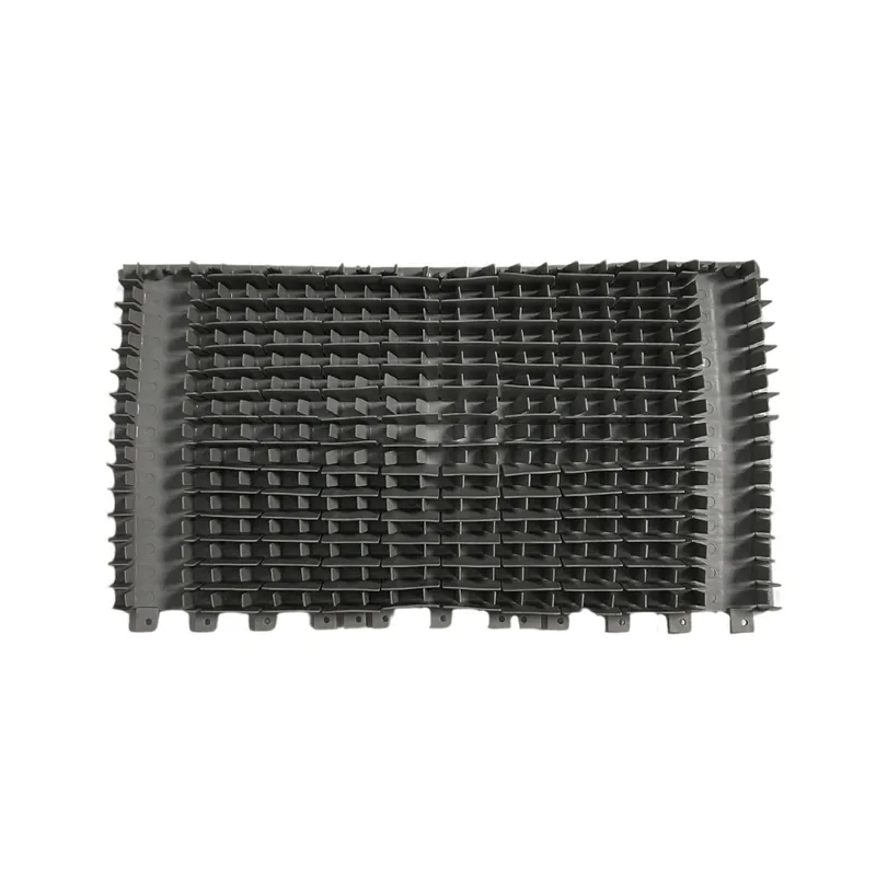 Aktuell Wunder-Bürste für Aquanura Deluxe | 1 Paar
