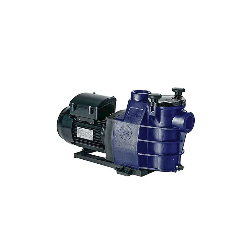 Schneller Versand Poolpumpe HAYWARD STARPUMP II Filterpumpe Einphasig - 1,00 PS