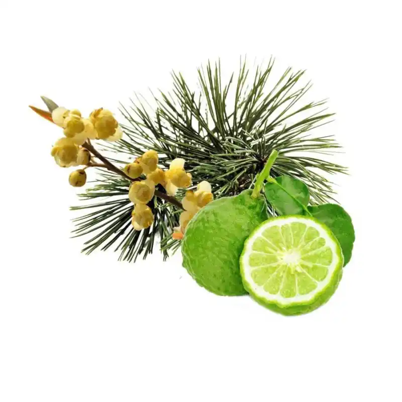 HARVIA Saunaduftkonzentrat Zirbe, Bergamotte und Litsea Cubeba 1 l Neuheit
