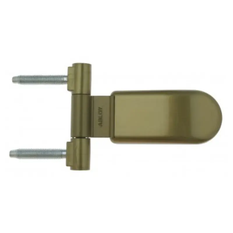 Jetzt Bestellen Türscharniere ABLOY für Dampfsaunatüren, bronze ABLFL75