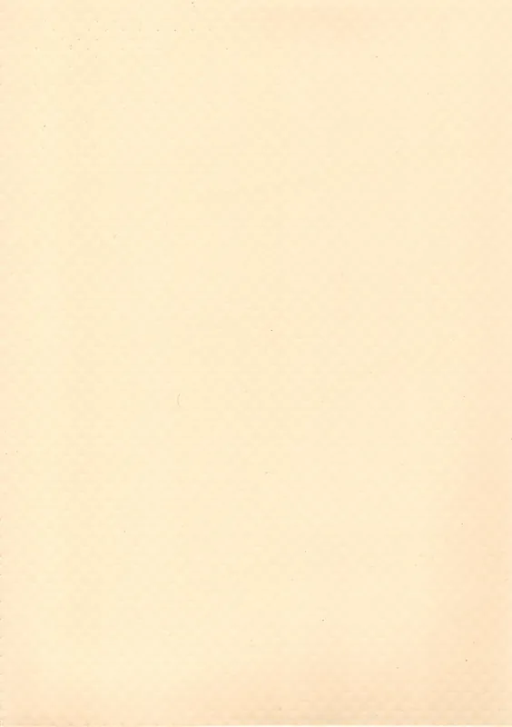Neu Im Sortiment ELBE Poolfolie Elite Premium Line - Sand Beach, Stärke 1,5 mm / 25 x 1,65 m