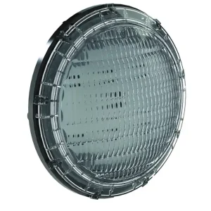 Pentair Intellibrite PAR 56 LED Ersatzleuchtmittel Online Kaufen