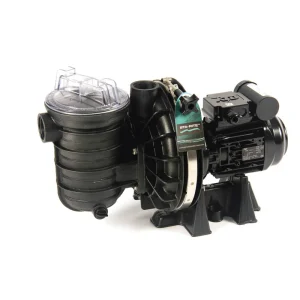 Mega-Angebot 5P2R Sta-Rite Poolpumpe