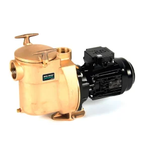 5BR STA RITE Bronzepumpe Poolpumpe Top-Preis