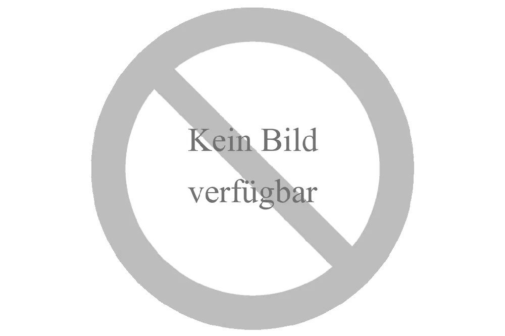 Echt Sicherheitsstufe 180 x 485 d=40V4A (24°)