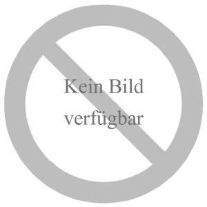 Sicherheitsstufe 180 x 500 d=40 V4A Billig