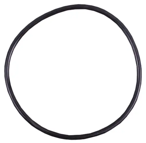 O-Ring für Astral Chlordosierschleuse Nur Heute