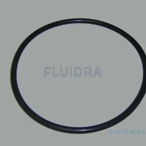 O-Ring d = 400 mm für Astral-Filter Sonderangebot