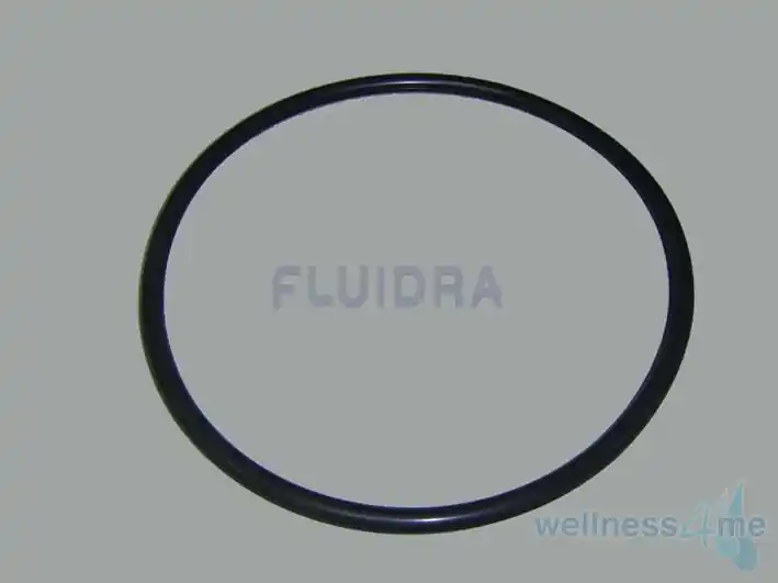 O-Ring d = 400 mm für Astral-Filter Sonderangebot