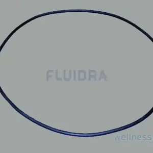 Preisknaller O-Ring für Astral-Filter Bilbao